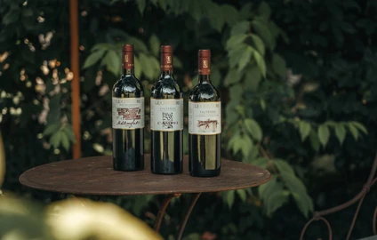 Le Chiusure, wine.jpg